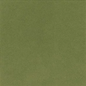 1,4 mm "Artique" Passepartout mit individuellem Ausschnitt 30x40 cm | Aloe
