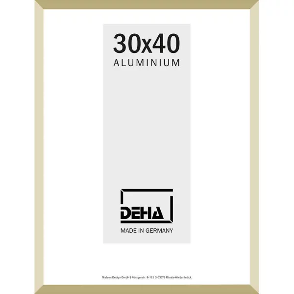 Alurahmen Wega Sonderzuschnitt Champagner matt | Normalglas (2 mm)