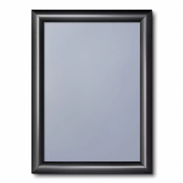 Cadre pour affiche Color, 25 mm 21x29,7 cm (A4) | noir foncé RAL 9005 | verre synthétique mat (1 mm)