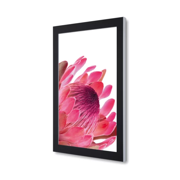 LED Schaukasten Premium 84,1x118,9 cm (A0) | silber | ESG Sicherheitsglas