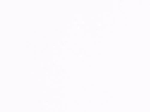 1,4 mm Passepartout in Standardformaten 9x13 cm (5x7 cm) | Hellweiß (290)