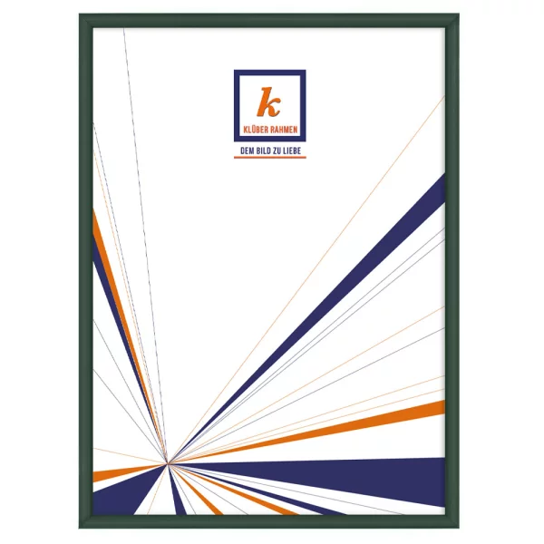 Cadre en aluminium Enzo 20x30 cm | vert sapin | verre standard (2 mm)