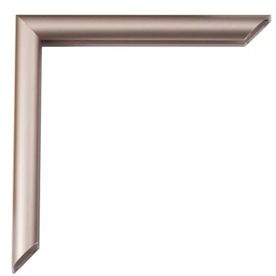 Cadre en aluminium Pedro sur mesure cannelle, mat, dos brossé | verre standard (2 mm)