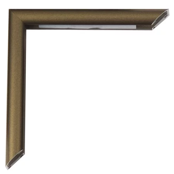 Alu-Bilderrahmen Pedro 20x30 cm | Florentiner Gotik Gold | Normalglas (2 mm)