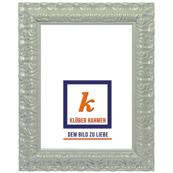 Cadre de style baroque Salamanca Color 30x40 cm | gris clair | verre standard (2 mm)