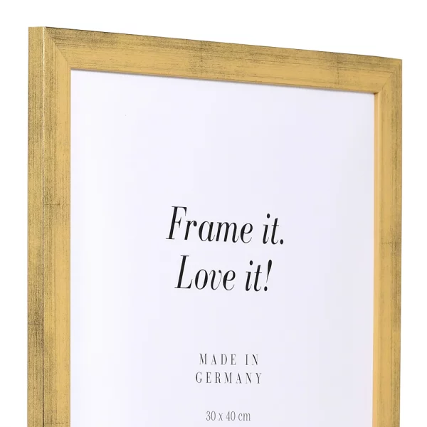 Holz Bilderrahmen Top Pro 18x24 cm | gold | Normalglas (2 mm)