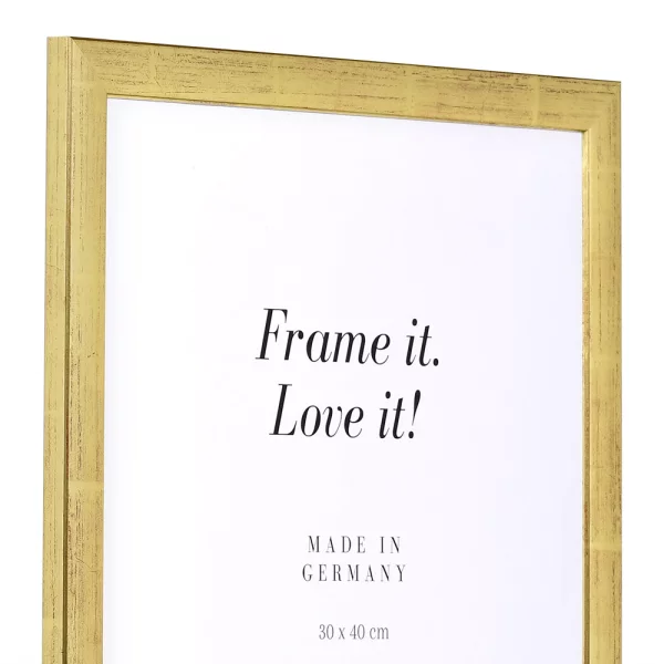 Holz Bilderrahmen Paris 70x100 cm | gold | ohne Glas, mit Rückwand