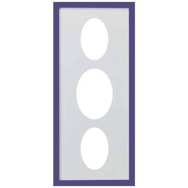 3er Galerierahmen Top Cube in 25x60 cm Ovalausschnitt 2x10x15 cm, 1x13x18 cm | lila | Normalglas (2 mm)