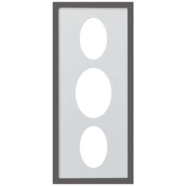 Cadre Top Cube avec passe-partout multiple avec 3 ouvertures ovales, 25x60 cm 2x10x15 cm, 1x13x18 cm | platine | verre standard (2 mm)