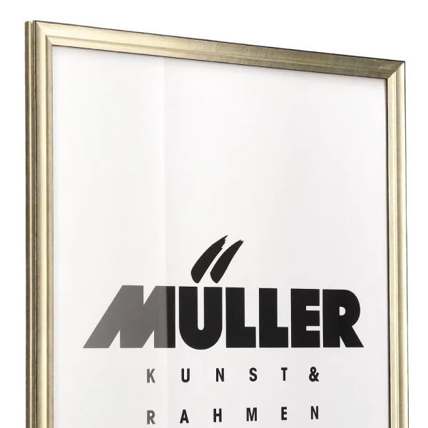 Holz Bilderrahmen Sachsen Anhalt 28x35 cm | champagner | Normalglas (2 mm)