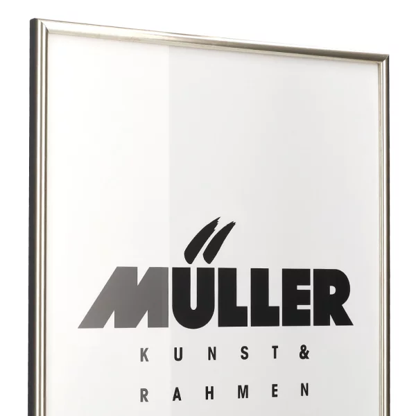 Cadre en bois Hesse sur mesure or blanc brillant | verre standard (2 mm)