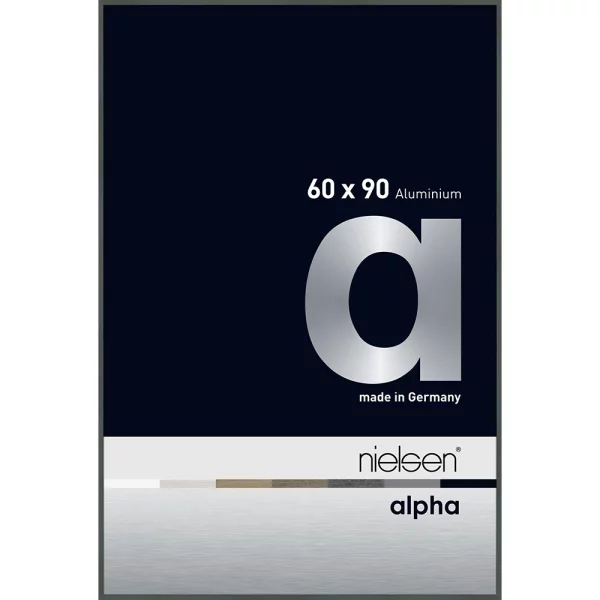 Cadre en aluminium Alpha 60x90 cm | platine | verre standard (2 mm)