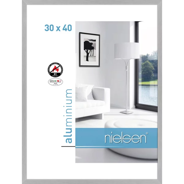 Cadre protection feu B1 C2 30x40 cm | structure argent mat | verre standard (2 mm)