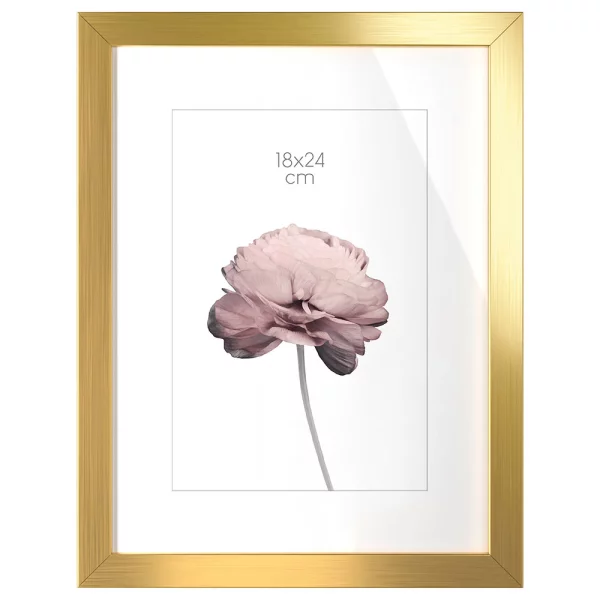 Cadre en bois Prague (MDF) 18x24 cm | or | verre standard (2 mm)