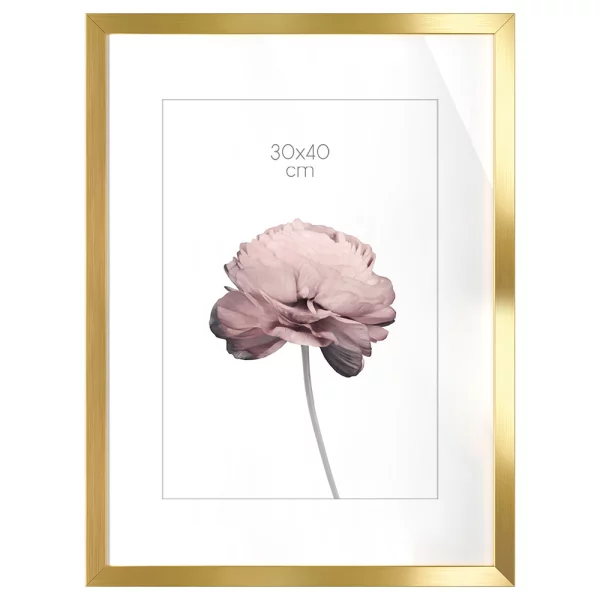 Cadre en bois Prague (MDF) 30x40 cm | or | verre standard (2 mm)