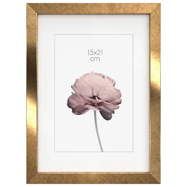 Cadre en bois Prague (MDF) 30x40 cm | Altgold gemasert | verre standard (2 mm)