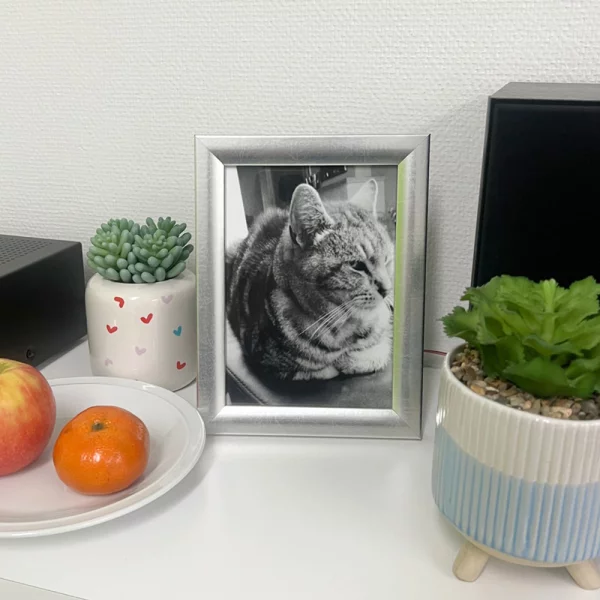 Holz Bilderrahmen Olivia 10x15 cm | Silber matt | Normalglas (2 mm)