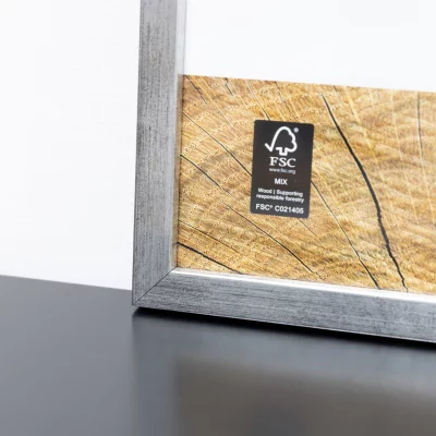 Träram Quadrum 42x59,4 cm (A2) | silver | Standardglas (2 mm)