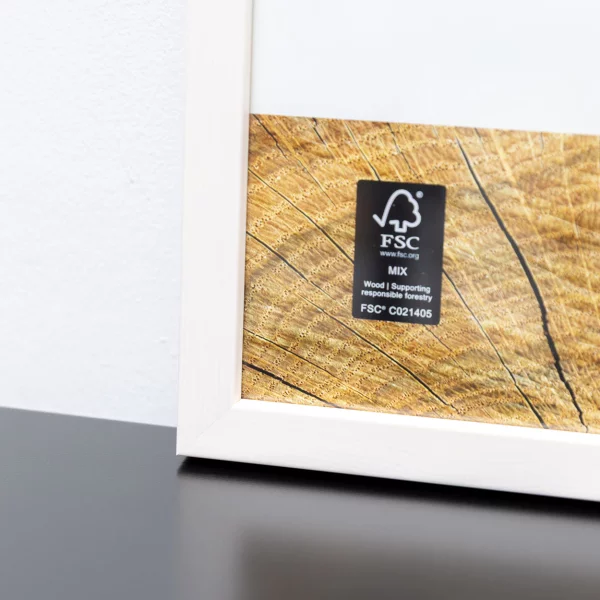 Holz-Bilderrahmen Quadrum 40x50 cm | Weiß | Normalglas (2 mm)