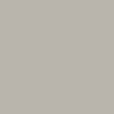 Passepartout per 2 immagini - 13x18 cm 30x40 cm (2x 13x18 cm) | grigio