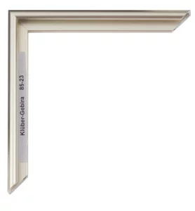 Alu-Bilderrahmen Miguel 29,7x42 cm (A3) | Champagner matt, Rücken gebürstet | Normalglas (2 mm)