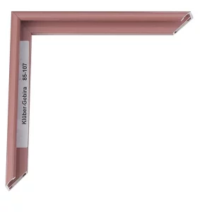 Alu-Bilderrahmen Miguel 29,7x42 cm (A3) | Rivierarosa | Normalglas (2 mm)