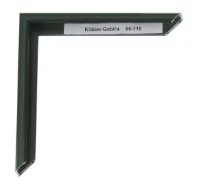 Alu-Bilderrahmen Enzo Maßanfertigung Tannengrün | Normalglas (2 mm)