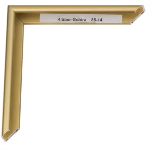 Alu-Bilderrahmen Enzo 20x30 cm | Gold-matt, Rücken gebürstet | Normalglas (2 mm)