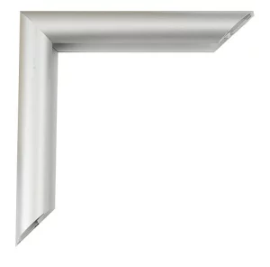 Alu-Bilderrahmen Joel 20x30 cm | Silber-seidenmatt, Rücken gebürstet | Normalglas (2 mm)