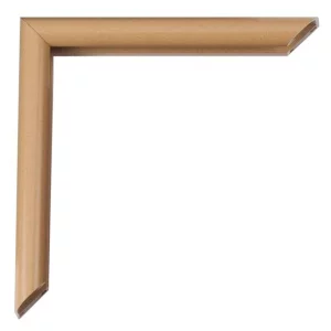 Alu-Bilderrahmen Pedro Maßanfertigung Geo-Korallenstein | Normalglas (2 mm)