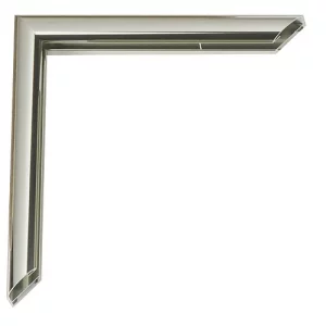 Alu-Bilderrahmen Pedro 59,4x84,1 cm (A1) | Krypton glänzend, Rücken gebürstet | Kunstglas (2 mm)