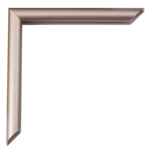 Alu-Bilderrahmen Pedro 84,1x118,9 cm (A0) | Zimt matt, Rücken gebürstet | Kunstglas (2 mm)