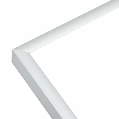 Aluminium kader Liz 70x100 cm | zilver | normaal glas (2 mm)