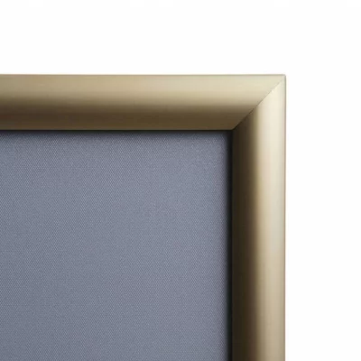 Kliklijst Color, 25 mm 29,7x42 cm (A3) | goud, mat | kunstglas, gematteerd (1 mm)