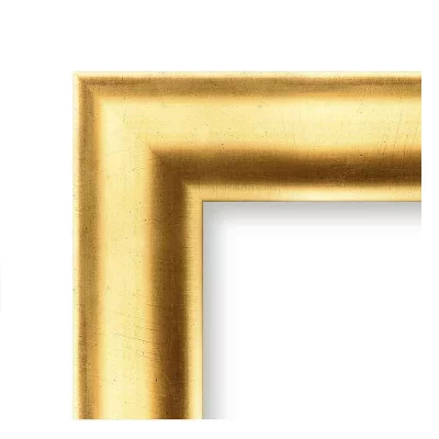 Barok kader Rosalia 15x20 cm | goud | kunstglas (1 mm)