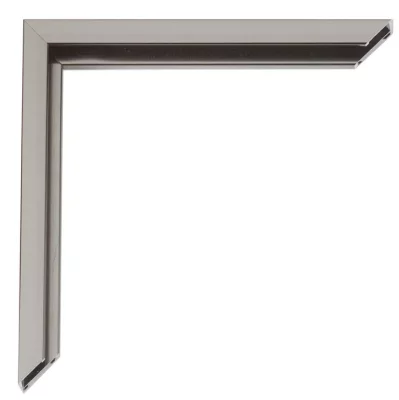 Aluminiumram Javier efter mått kontrastgrå blank, borstad utsida | Standardglas (2 mm)