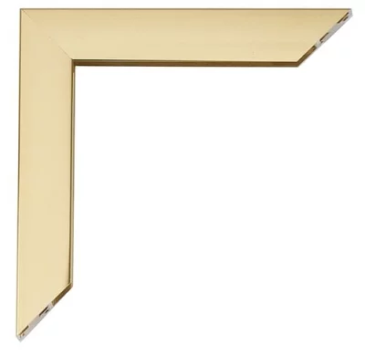 Alu-Bilderrahmen Sergio Maßanfertigung Gold-glänzend, Rücken gebürstet | Normalglas (2 mm)