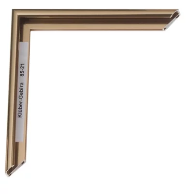 Alu-Bilderrahmen Miguel Maßanfertigung Bronze-hell, Rücken gebürstet | Normalglas (2 mm)