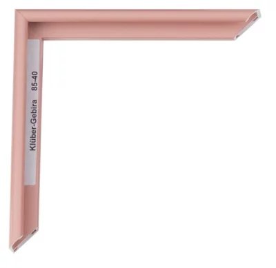 Alu-Bilderrahmen Miguel 30x45 cm | Korallenrosa | Normalglas (2 mm)