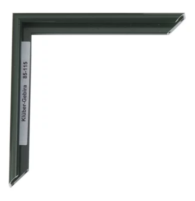 Alu-Bilderrahmen Miguel 30x45 cm | Tannengrün | Normalglas (2 mm)