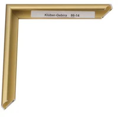 Alu-Bilderrahmen Enzo Maßanfertigung Gold-matt, Rücken gebürstet | Kunstglas (2 mm)