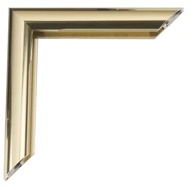 Alu-Bilderrahmen Joel 21x29,7 cm (A4) | Gold hell glänzend, Rücken gebürstet | Normalglas (2 mm)