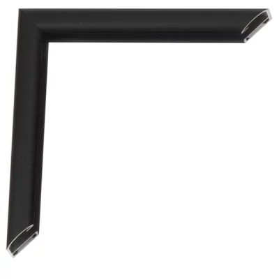 Aluminiowe ramy do obrazów Pedro na wymiar florencki czarny (trawiony kwasem) | szkło standardowe (2 mm)