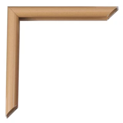 Aluminiowe ramy do obrazów Pedro na wymiar koralowiec, cętkowany | szkło standardowe (2 mm)