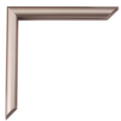 Aluminiowe ramy do obrazów Pedro na wymiar cynamonowy, matowy, tył szczotkowany | szkło standardowe (2 mm)