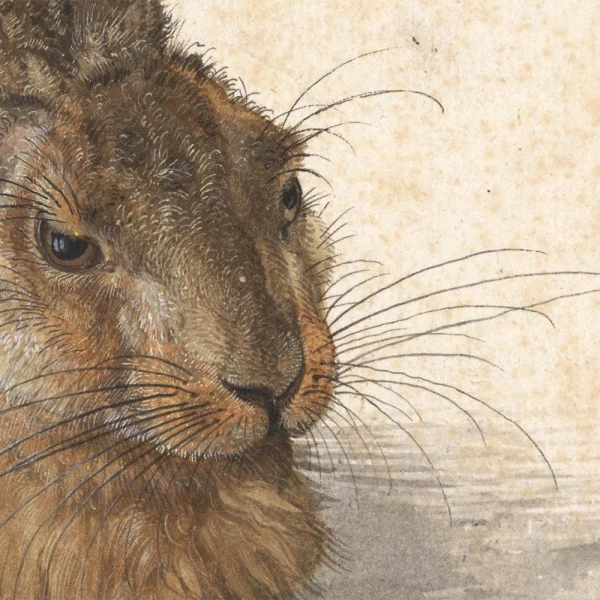 Poster mit Rahmen - Albrecht Dürer - Feldhase (Young Hare) 40x40 cm | Schwarz