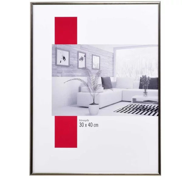 Kunststoff-Bilderrahmen Profil ART 40x60 cm | Platin | Normalglas (2 mm)