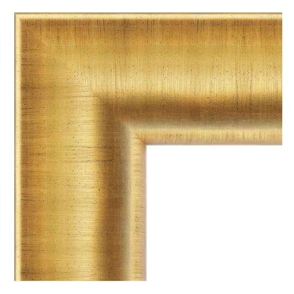 Barock Bilderrahmen Rosa 30x45 cm | gold | Kunstglas (1 mm)