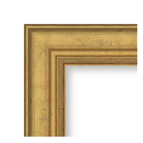 Barock Bilderrahmen Greta 42x59,4 cm (A2) | gold | Kunstglas (1 mm)