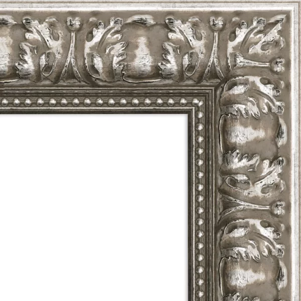 Wandspiegel Macondo - Exklusivrahmen 20x30 cm | Silber | Spiegel (2 mm)